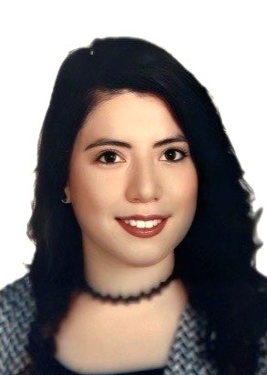https://dotecengineering.com/wp-content/uploads/Bio-photo-Mensur.jpg